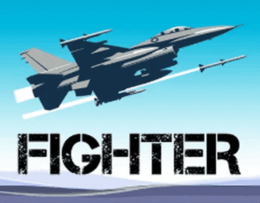 Fighter