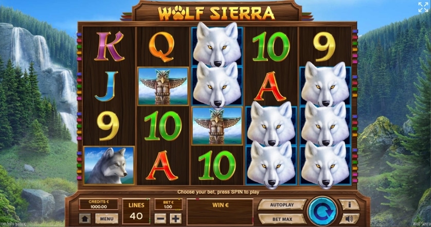 automat wolf sierra
