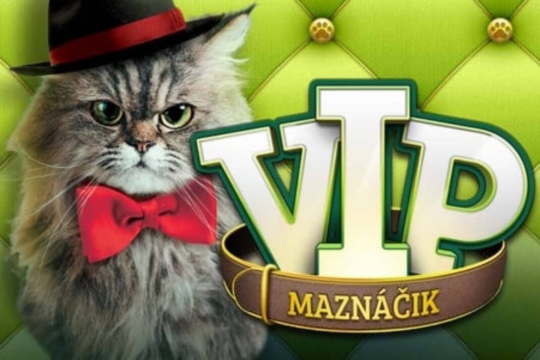 Online stierací žreb VIP Maznáčik
