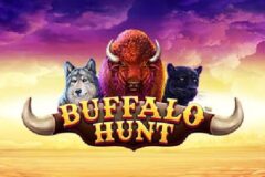 Buffalo Hunt od Synot