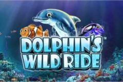 Dolphin’s Wild Ride od Synot