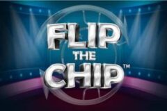 Flip the Chip od Synot