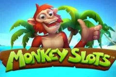 Monkey Slots od Synot