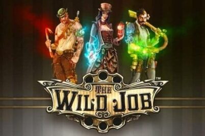 The Wild Job od Synot