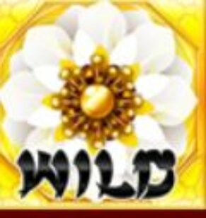 Symbol WILD Symbol automatu 8 Flowers od Synot