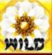 Symbol WILD Symbol automatu 8 Flowers od Synot