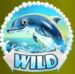 Symbol WILD automatu Dolphin’s Wild Ride od Synot