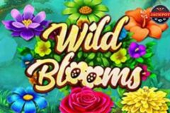 Wild Blooms od SYNOT Games