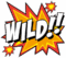 Wild symbol