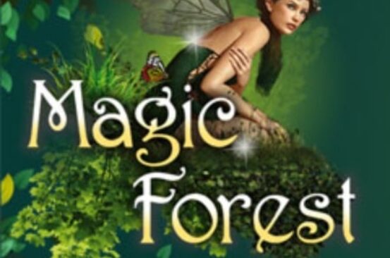 Magic Forest od 