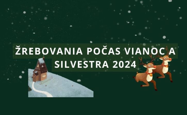 Žrebovania počas Vianoc a Silvestra 2024