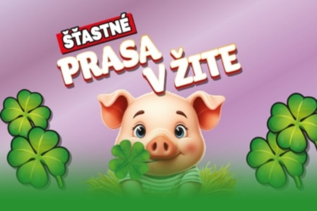 Stieraci žreb Šťastné prasa v žite