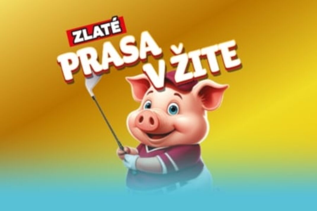 Stieraci žreb Zlaté prasa v žite