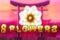 8 Flowers automat
