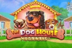 The Dog House Megaways od Pragmatic Play