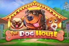 The Dog House od Pragmatic Play