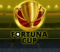 fortuna cup náhľad