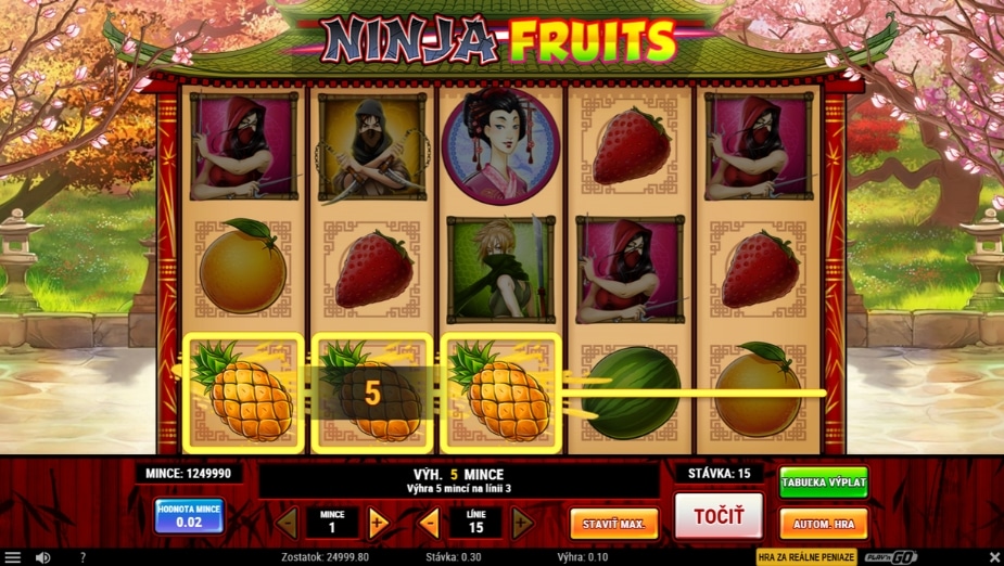 Téma a symboly Ninja Fruits