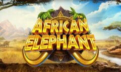 African Elephant™ od Pragmatic Play