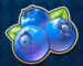 Symbol Čučoriedky automatu Multifruit 81 od Play’n GO