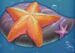 Symbol Hviezda automatu Mermaid’s Diamond od Play’n GO