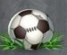 Symbol Futbalová lopta automatu Hugo Goal od Play’n GO