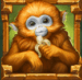 Symbol Opica automatu Rainforest Magic od Play’n GO