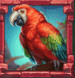 Symbol Papagáj automatu Rainforest Magic od Play’n GO