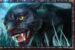Symbol Puma automatu Phoenix Reborn od Play’n GO