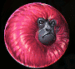 Symbol Ružová opica automatu 7 Monkeys™ od Pragmatic Play