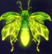 Symbol WILD  automatu Firefly Frenzy od Play’n GO
