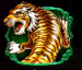 Symbol Tiger automatu 8 Dragons™ od Pragmatic Play