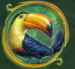 Symbol Tukan automatu Rainforest Magic od Play’n GO