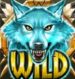 Symbol WILD Symbol automatu Coywolf Cash od Play’n GO