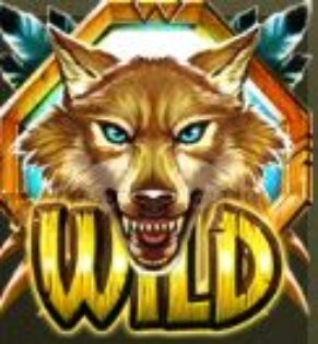 Symbol Hnedý WILD automatu Coywolf Cash od Play’n GO