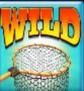 Symbol WILD Symbol automatu Big Bass Hold & Spinner Megaways™ od Pragmatic Play