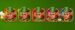 Symbol WILD Symbol automatu Leprechaun Goes Wild od Play’n GO