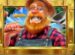 Symbol WILD Symbol automatu Piggy Bank Farm od Play’n GO