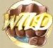 Symbol WILD Symbol automatu Pimped od Play’n GO