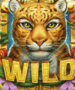 Symbol WILD Symbol automatu Rainforest Magic od Play’n GO