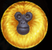 Symbol Zlatá opica automatu 7 Monkeys™ od Pragmatic Play