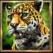 Symbol Jaguar automatu Aztec Jaguar od Synot