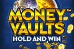 Money Vaults od Synot