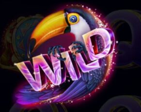 Symbol WILD symbol automatu Rio Mystery Night od Synot