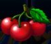 Symbol Čerešne automatu 243 Joker Fruits od Synot