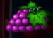 Symbol Hrozno automatu 243 Joker Fruits od Synot