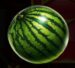 Symbol Melón automatu Fruit Awards od Synot