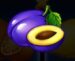 Symbol Slivka automatu 243 Joker Fruits od Synot