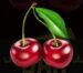 Symbol Čerešňa automatu Fruit Awards od Synot