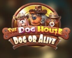 The Dog House – Dog or Alive od Pragmatic Play